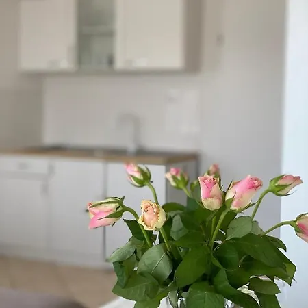 Studio Apartments M&N Lägenhet *